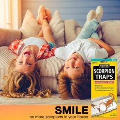 Harris Scorpion Glue Trap (5-Pack) -Breeze Decor Sales Store white harris insect traps sctrpvp 76 1000