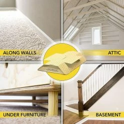 Harris Spider Traps (2 Pack) 9 Harris Spider Traps (2 Pack) -Breeze Decor Sales Store white harris insect traps strp 1f 1000