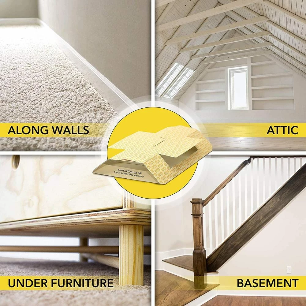 Harris Spider Traps (2 Pack) 4 Harris Spider Traps (2 Pack) - Image 4