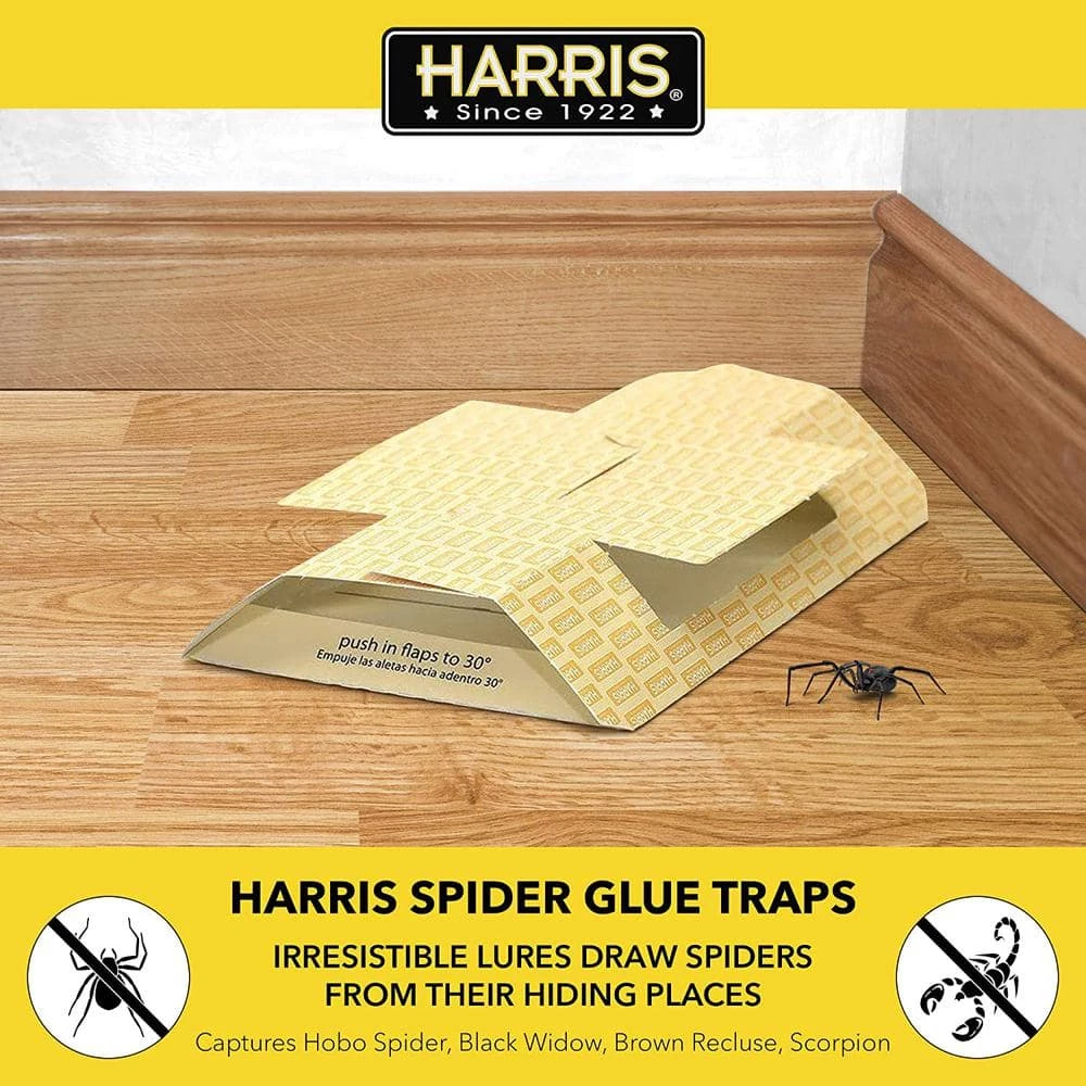 Harris Spider Traps (2 Pack) 5 Harris Spider Traps (2 Pack) - Image 5