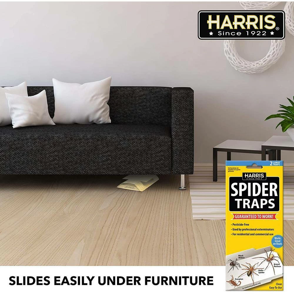 Harris Spider Traps (2 Pack) 6 Harris Spider Traps (2 Pack) - Image 6