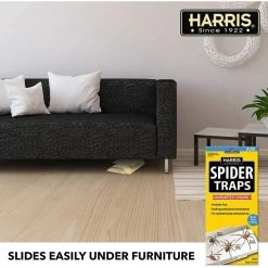 Harris Spider Trap Value Pack -Breeze Decor Sales Store white harris insect traps strpvp fa 1000